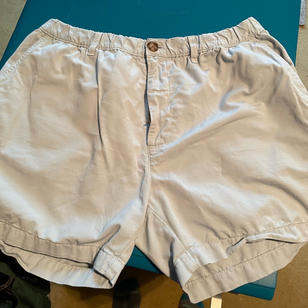 Chubbies Men’s Shorts, Medium (7 inch inseam)